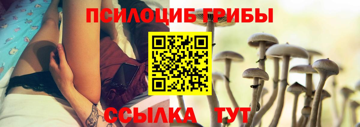 Саров  Псилоцибиновые грибы Cubensis  Вход с VPN 